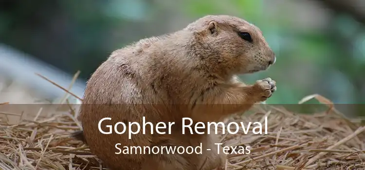 Gopher Removal Samnorwood - Texas