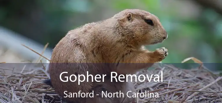 Gopher Removal Sanford - North Carolina