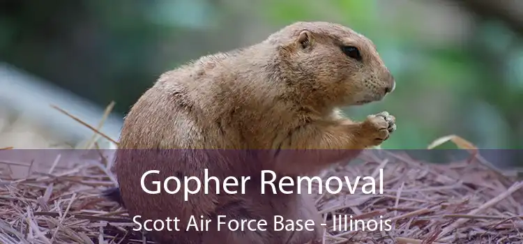 Gopher Removal Scott Air Force Base - Illinois