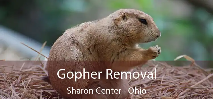 Gopher Removal Sharon Center - Ohio