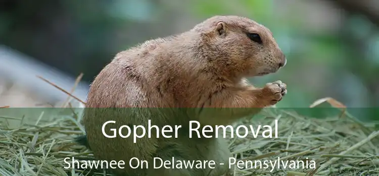 Gopher Removal Shawnee On Delaware - Pennsylvania