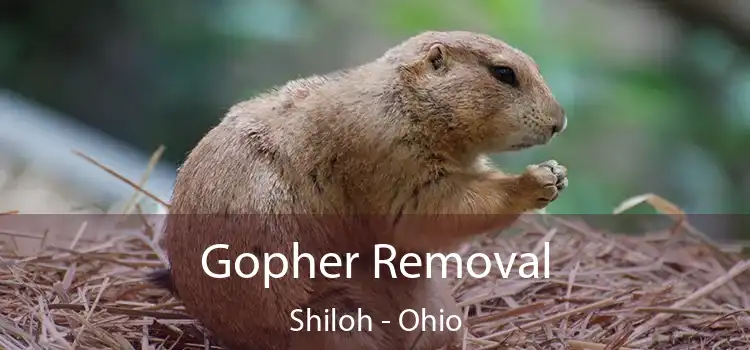 Gopher Removal Shiloh - Ohio