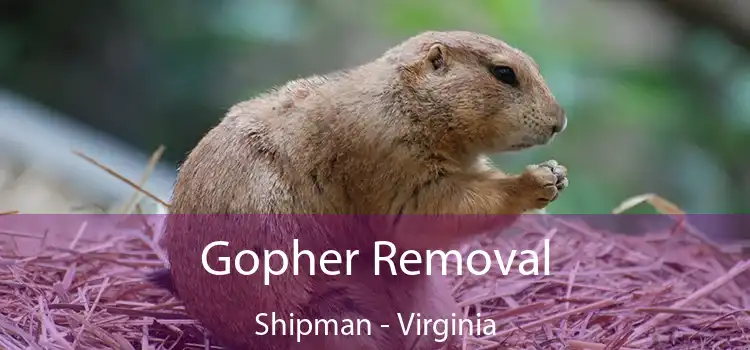 Gopher Removal Shipman - Virginia