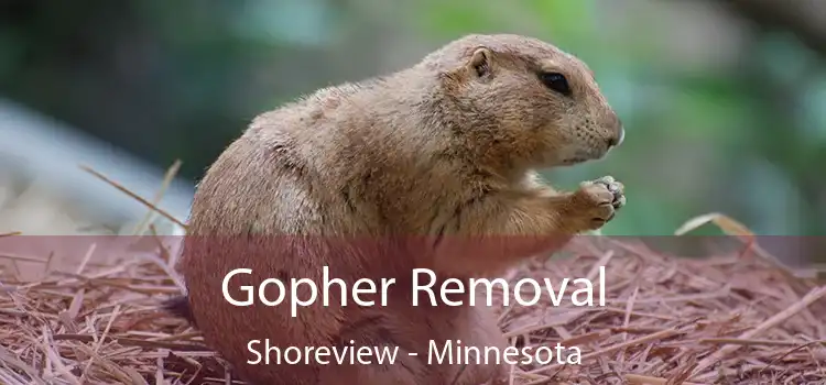 Gopher Removal Shoreview - Minnesota