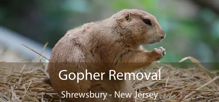 Gopher Removal Shrewsbury - New Jersey