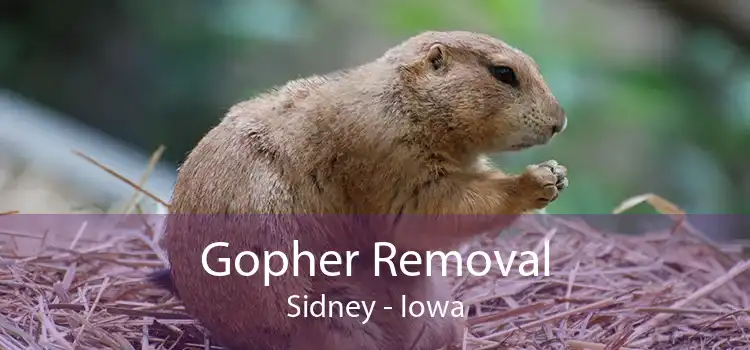 Gopher Removal Sidney - Iowa