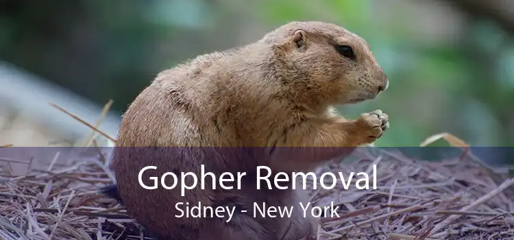 Gopher Removal Sidney - New York