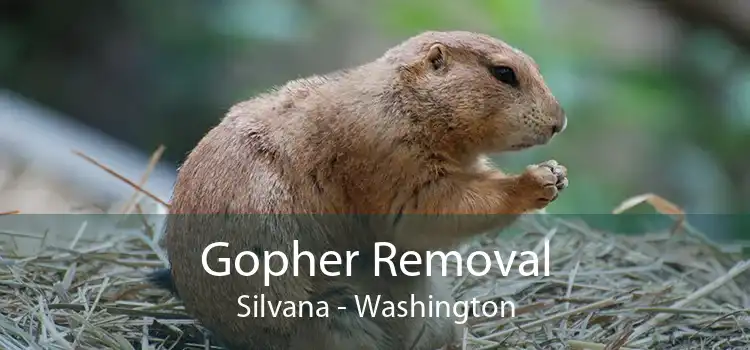 Gopher Removal Silvana - Washington