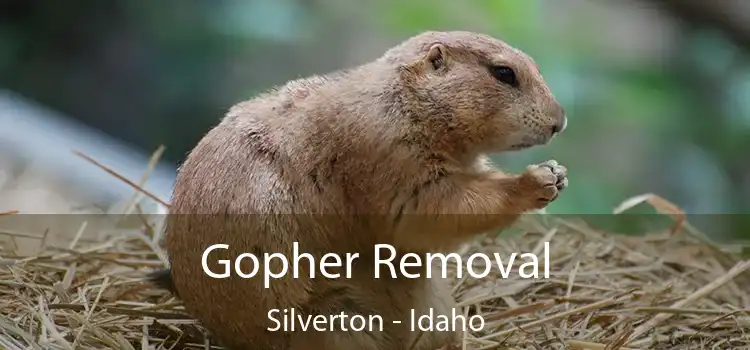 Gopher Removal Silverton - Idaho