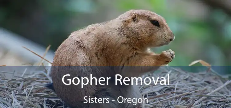 Gopher Removal Sisters - Oregon