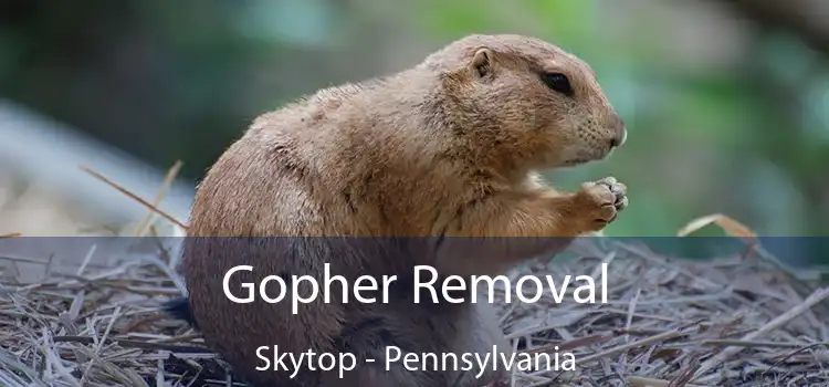 Gopher Removal Skytop - Pennsylvania