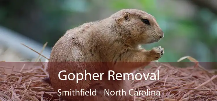 Gopher Removal Smithfield - North Carolina