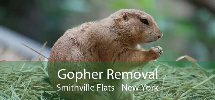 Gopher Removal Smithville Flats - New York