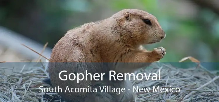 Gopher Removal South Acomita Village - New Mexico