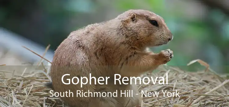 Gopher Removal South Richmond Hill - New York