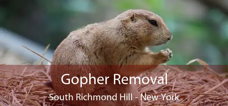 Gopher Removal South Richmond Hill - New York