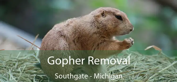 Gopher Removal Southgate - Michigan