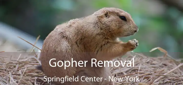 Gopher Removal Springfield Center - New York