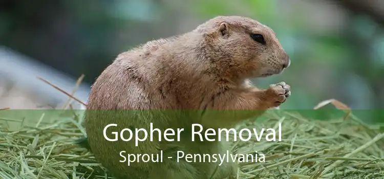 Gopher Removal Sproul - Pennsylvania