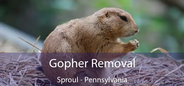 Gopher Removal Sproul - Pennsylvania