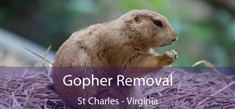 Gopher Removal St Charles - Virginia