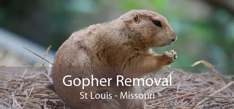 Gopher Removal St Louis - Missouri