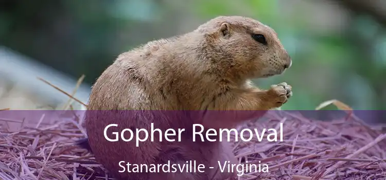 Gopher Removal Stanardsville - Virginia