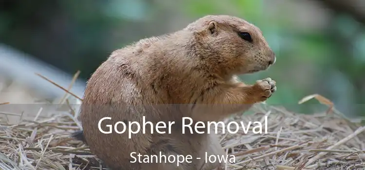 Gopher Removal Stanhope - Iowa