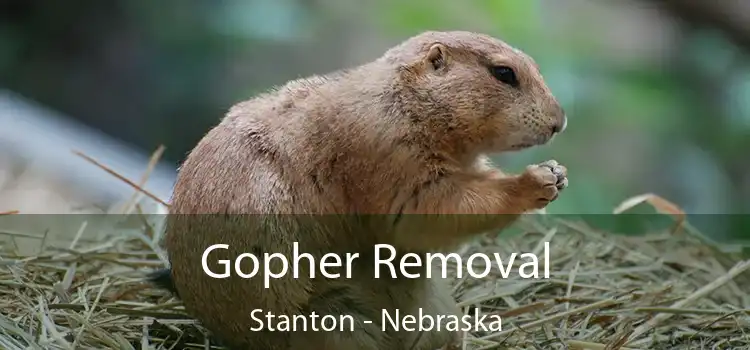 Gopher Removal Stanton - Nebraska