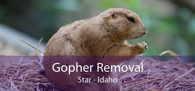 Gopher Removal Star - Idaho