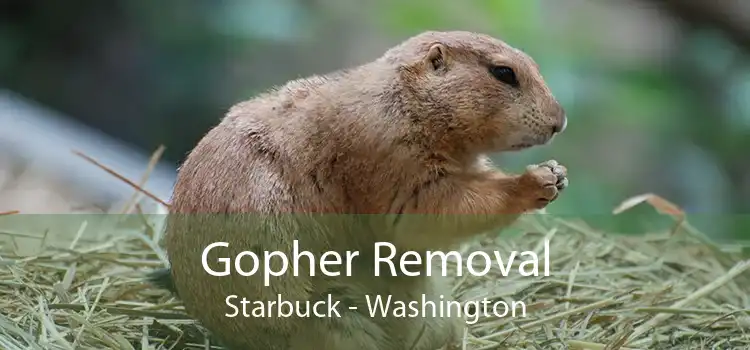 Gopher Removal Starbuck - Washington