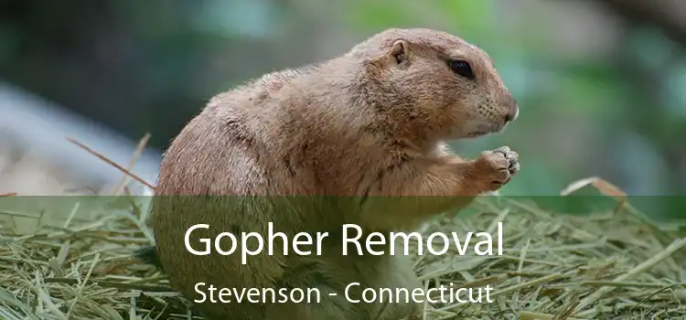 Gopher Removal Stevenson - Connecticut