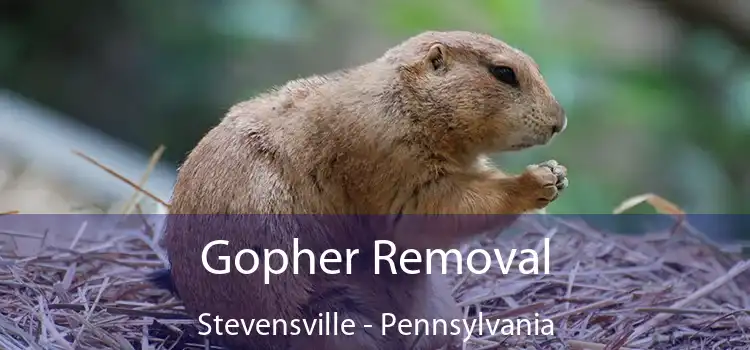 Gopher Removal Stevensville - Pennsylvania