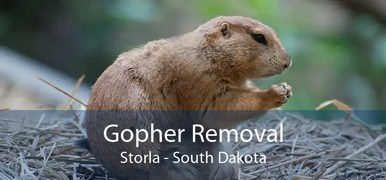 Gopher Removal Storla - South Dakota