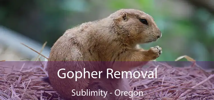 Gopher Removal Sublimity - Oregon