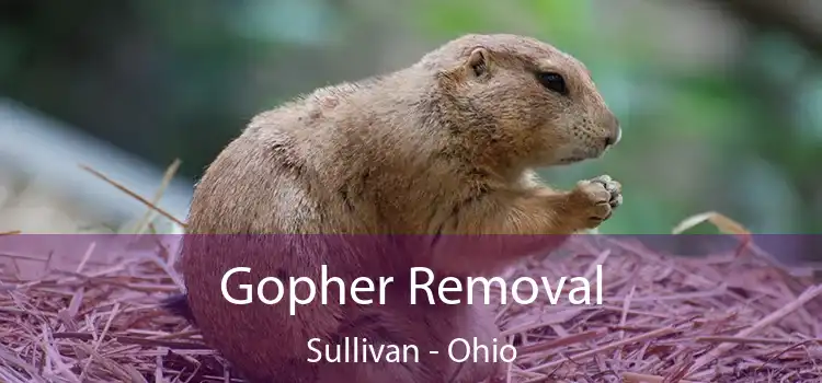 Gopher Removal Sullivan - Ohio