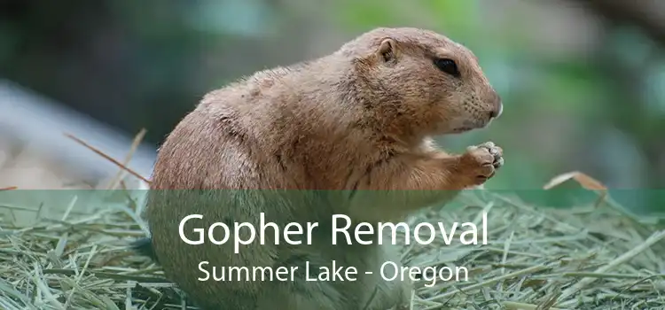 Gopher Removal Summer Lake - Oregon