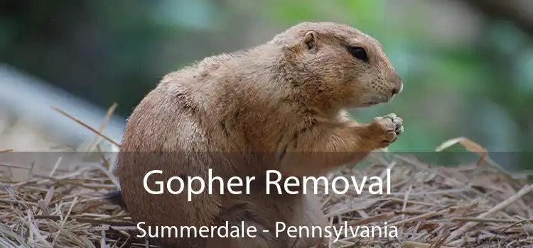 Gopher Removal Summerdale - Pennsylvania