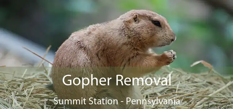 Gopher Removal Summit Station - Pennsylvania