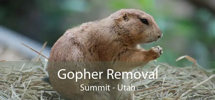 Gopher Removal Summit - Utah