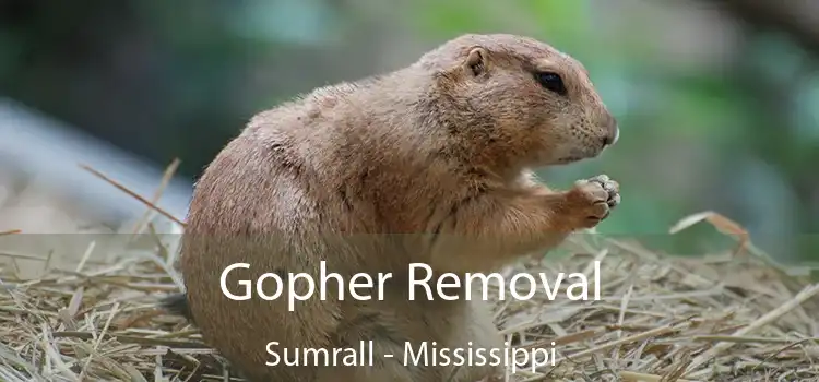 Gopher Removal Sumrall - Mississippi