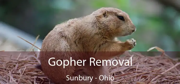 Gopher Removal Sunbury - Ohio