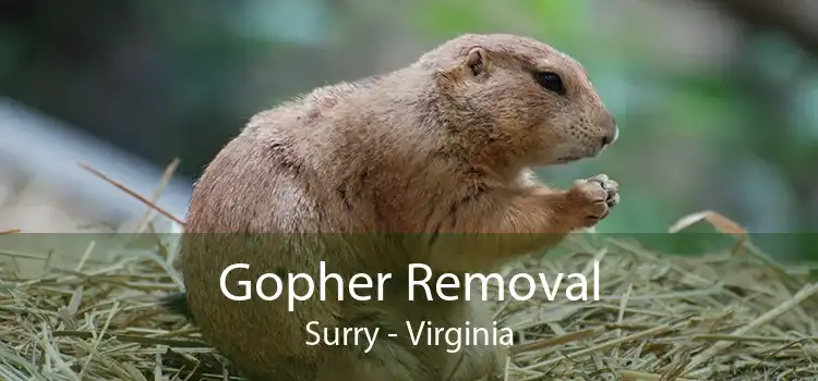 Gopher Removal Surry - Virginia