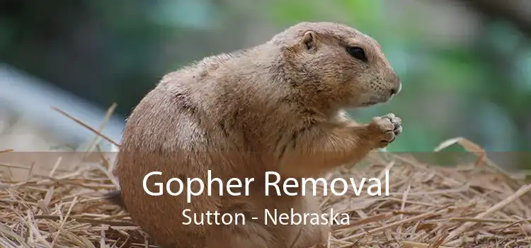 Gopher Removal Sutton - Nebraska