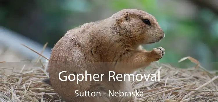 Gopher Removal Sutton - Nebraska