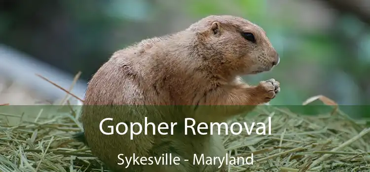 Gopher Removal Sykesville - Maryland