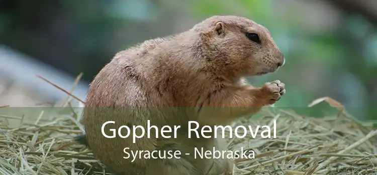 Gopher Removal Syracuse - Nebraska