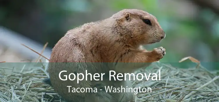 Gopher Removal Tacoma - Washington