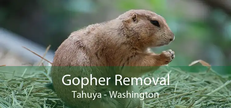 Gopher Removal Tahuya - Washington