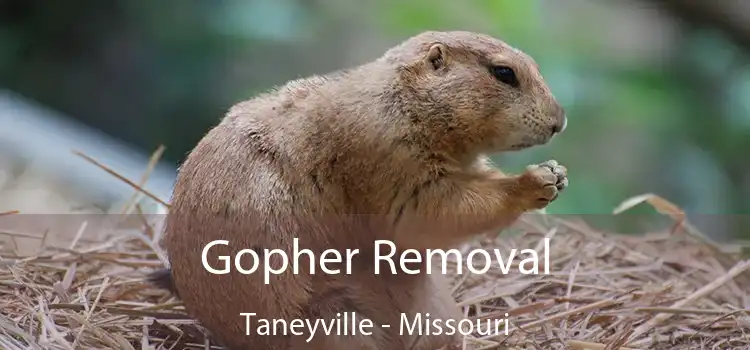 Gopher Removal Taneyville - Missouri